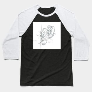 Graphite Cicada Baseball T-Shirt